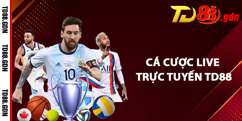 Cá Cược Live Trực Tuyến TD88