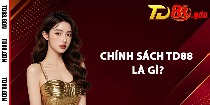 Chính Sách TD88 Là Gì?